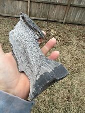 Texas Petrified Oak Wood Agatized Detailed Rotted Branch Piece Manning Formation picture