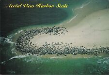 Postcard Harbor Seals Monomay Island Chatham MA Aerial View Ocean Beach Sea 6x4 picture