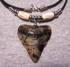 MEGALODON SHARK TOOTH NECKLACE 1 1/2