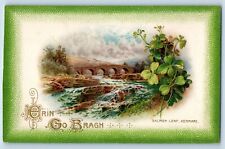 Wichita Kansas KS Postcard St. Patrick's Day Salmon Leap Kenmare Winsch Back picture