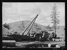 Logging Camp,Baker County,Oregon,OR,Farm Security Administration,1941,FSA,1 picture