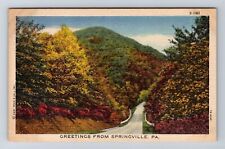 Springville PA-Pennsylvania, General Greetings Road Autumn, Vintage Postcard picture