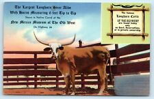 POSTCARD Largest Longhorn Steer Alive New Mexico Museum of the Old West picture