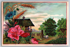 c1883 Blank / Sample Victorian Trade Card Country Home Scene picture