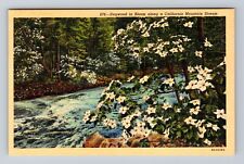 CA-California, Dogwood In Bloom Along Mountain Stream, Antique Vintage Postcard picture