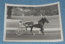 Ca. 1971 Harness Racing Photo Horse 