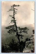 c1910's View Of Lone Pine Mt. Wilson California CA Antique RPPC Photo Postcard picture