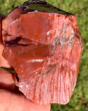 ☘️RR⚒: Top Quality Arizona Rainbow Petrified Wood, 1 Lb 🌈 picture