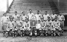 Rockford Illinois Wolverines Minor League Baseball Team IL picture