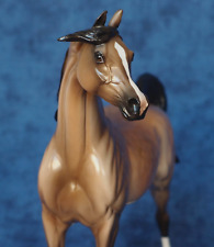 Peter Stone Model Horse DAH PM80 Blue Angel Dapple Sooty Buckskin Arab Arabian picture