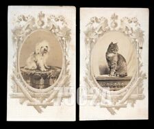 1860s CDV Photo Set Cat & Dog Siblings Antique, 1800s picture