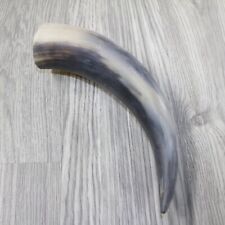 1 Raw Unfinished Cow Horn #1145 Natural Colored picture