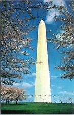 postcard - Washington Monument  picture