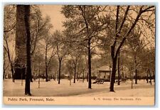 1915 Public Park Trees Benches Scene Fremont Nebraska NE Posted Vintage Postcard picture