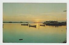 The Outer Banks Of North Carolina NC Seagulls Boats Chrome Postcard picture