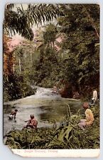 Penang Malaysia~Malacca Strait~Fishing, Washing Clothes? in Jungle~1910 Postcard picture