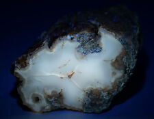 Petrified Wood-Agate,  Fluorescent. Eden Valley, Wyoming. 43 grams. Video. picture