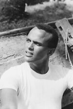 Harry Belafonte 24x36 inch Poster picture