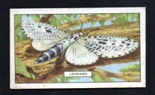 LEOPARD 1938 GALLAHER LTD. BUTTERFLIES AND MOTHS #4 EXCELLENT NO CREASES picture