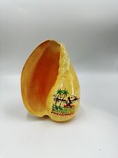 Huge, Rare, Extra Large Melon Seashell, Polished 10” Philippines Art Souvenir picture