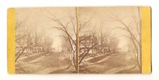 Old Antique Stereoscope Card Photo City Town Houses Homes Wide Tree-lined Street picture