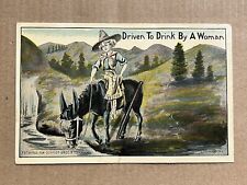 Postcard 1911 Schmidt Bros Novelty Comical Springtail Donkey Driven To Drink picture