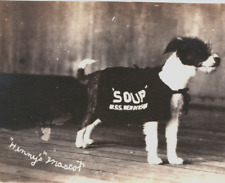 USS Henderson Navy Ship Mascot Dog Terrier WWI AP-1 RPPC Postcard picture
