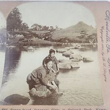 Antique Keystone Stereoview,  #4004 Sunny Faced Japanese Girls, Suisenji Park picture