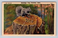 Petoskey MI-Michigan, General Greetings, Squirrel on Stump, Vintage Postcard picture