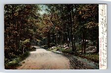 Lynn MA-Massachusetts, Dungeon Rock Road, Antique Vintage c1905 Postcard picture