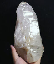 4.94lb Natural Skeleton Quartz Crystal Wand Point & Tourmaline Mineral Specimen picture