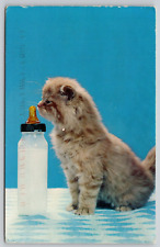Postcard Ill Take Mine From A Saucer Cat With Milk Bottle picture