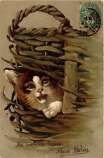 PC CPA CAT, CAT IS LOOKING OUT FROM A BASKETBALL, VINTAGE EMBOSSED POSTCARD (b3856) picture