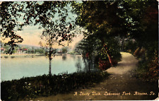 A Shady Walk Lakemont Park Altoona Pennsylvania Divided Postcard Posted 1911 picture