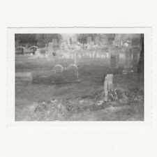 Spooky Vintage Snapshot Double Exposure Photo Grave Cemetery Graveyard picture