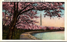 Vtg 1920s Washington Monument and Cherry Blossoms Washington DC Unused Postcard picture
