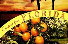 Greetings From Florida  1967 picture