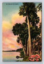 FL-Florida, Scenic Greetings, Twilight, Antique Souvenir Vintage c1939 Postcard picture