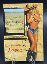 Vintage Nevada Postcard 