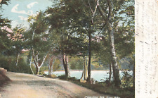 Postcard ME Camden Turnpike Megunticook Lake Dirt Road Knox County Undivided picture
