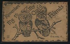 IN Lafayette LEATHER PC 1907 COMIC REMEMBER ME to MY OWL'd FRIENDS Owls on Perch picture