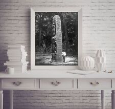 Photo: Archaeological excavations, pre-Columbian ruins, Stela D picture