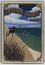 Indiana Dunes National Park 2