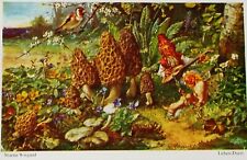 Rare Fine Fantasy 1926 Fairy Gnome Mushroom Signed Wiegand Germany Nuremberg picture