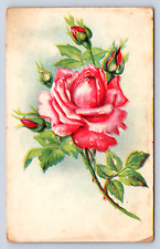 Vintage Postcard 1900s Floral picture