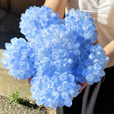 7.93LB Natural blue Crystal Cluster Flower Shape Mineral Specimen healing picture