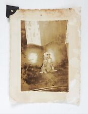Vintage 1941 Snapshot Photograph Eerie Weird Dog Sunglasses Stuffed Monkey picture