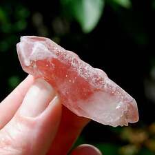 2in 20g DT Tantric Twin Strawberry Pink Scarlet Temple Lemurian Quartz Crystal D picture