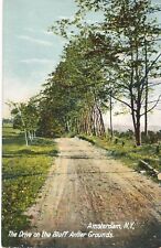AMSTERDAM NY – The Drive On the Bluff Antler Grounds - udb (pre 1908) picture