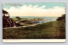 Postcard Monterey CA California Loop On 17 Mile Drive Near Hotel Del Monte picture